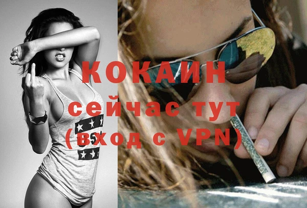 твердый Бородино