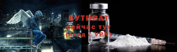 твердый Бородино