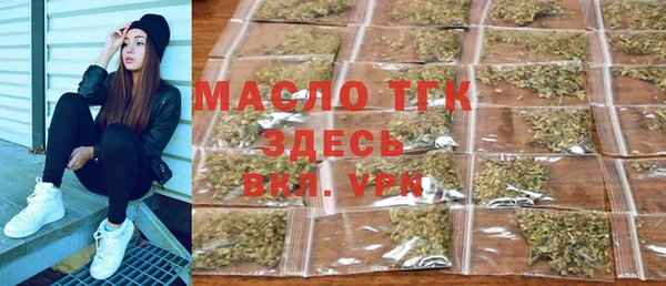 твердый Бородино
