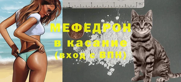 твердый Бородино