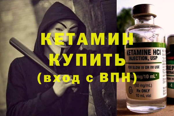 твердый Бородино