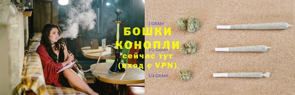 твердый Бородино
