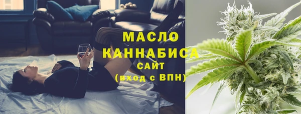 твердый Бородино