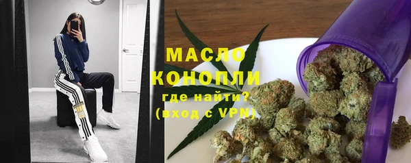 твердый Бородино